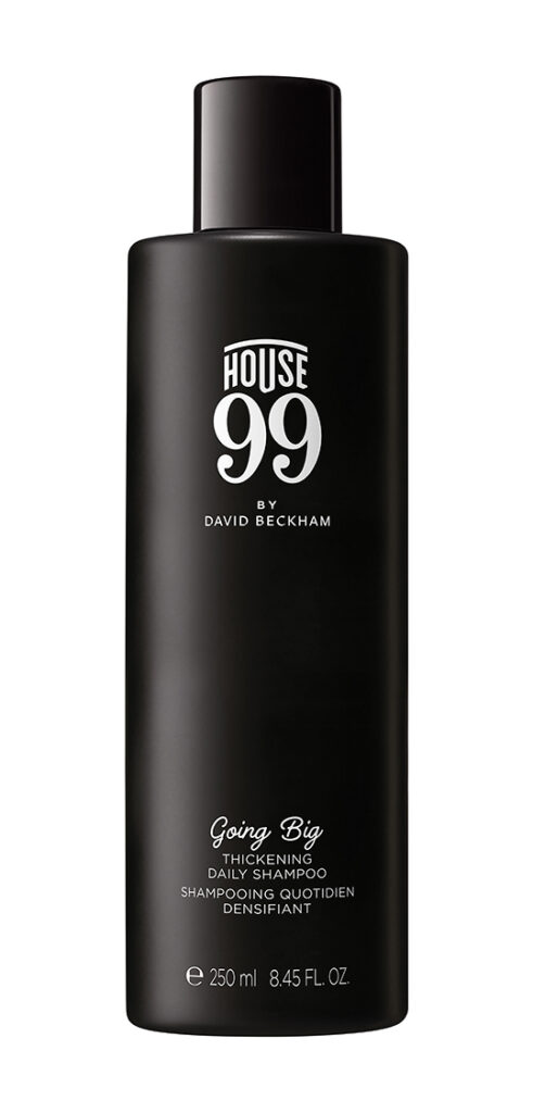 Daily Shampoo Going Big, House 99 by David Beckham