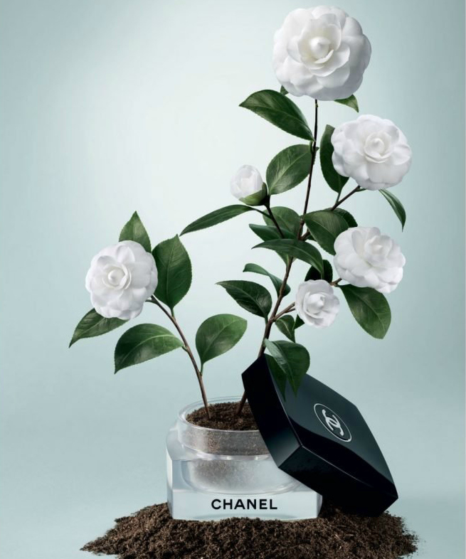 La beaute se cultive Chanel