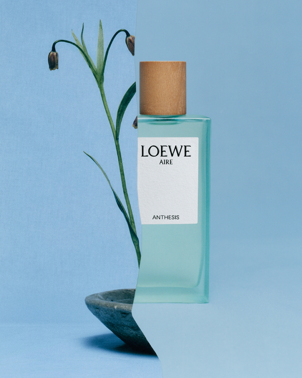 Loewe Aire Anthesis