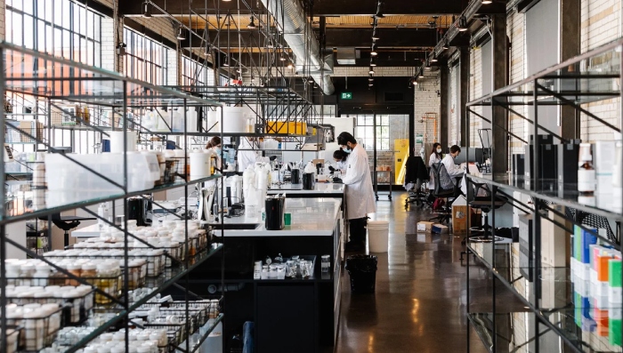 Laboratorios Deciem